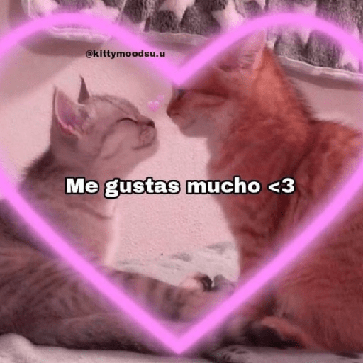 ❤️ Shitpost Amor ❤️ 12