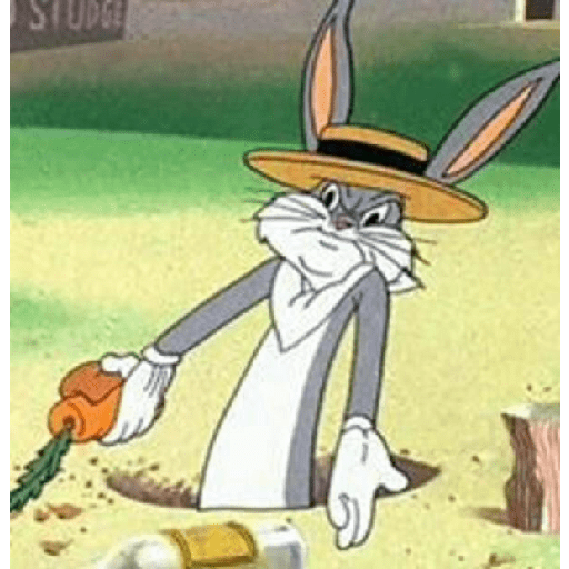 Bugs Bunny Edition[バグバニー版] 14