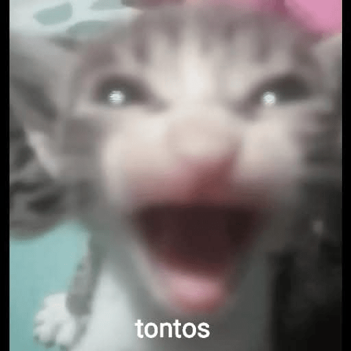 Memes 66 6