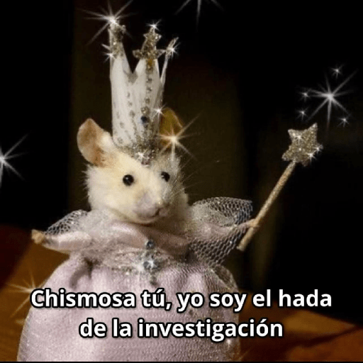Memes 57 1