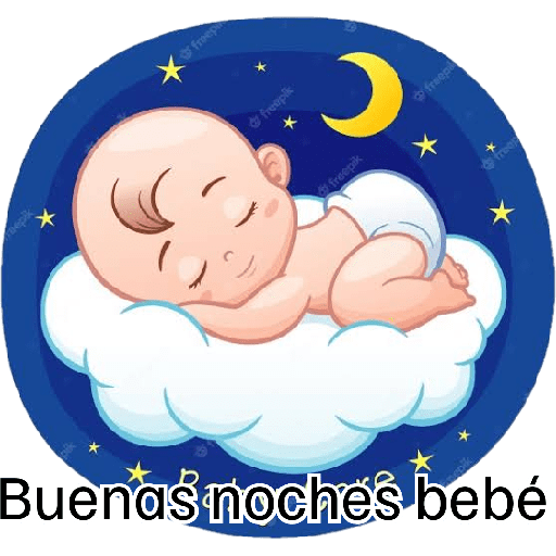B noches bebo 16
