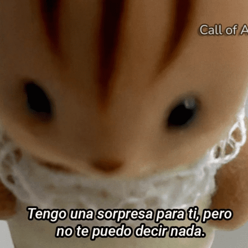 Xdd 12