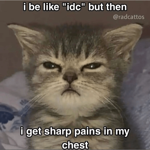 Cats 10