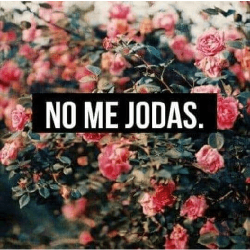 Para grupos de WhatsApp 1