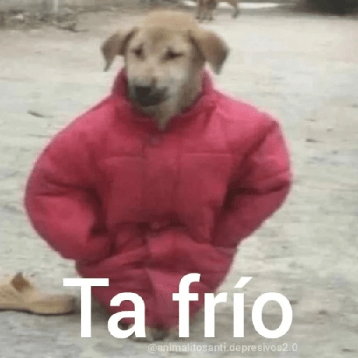 Mix Shitpost 😎🤙 14 10