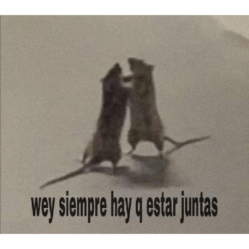 No puedo martha 10