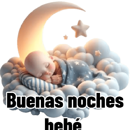 B noches bebo 18