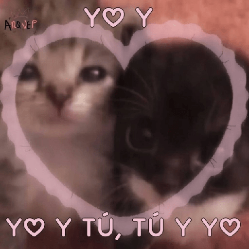 ❤️ Shitpost Amor ❤️ 3