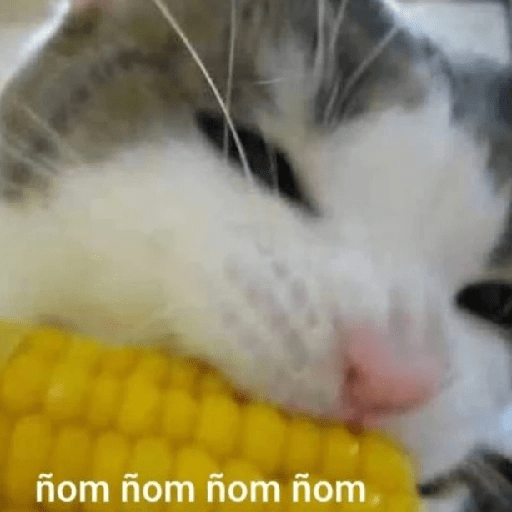 Mix Shitpost 😎🤙 14 12
