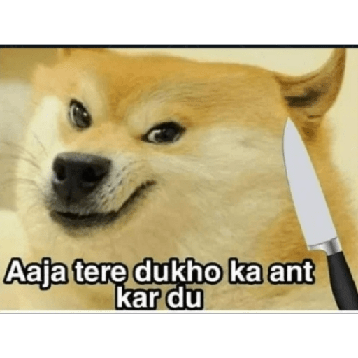 Doge hindi 3 12