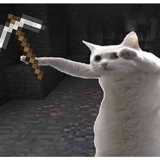 Minecraft  16