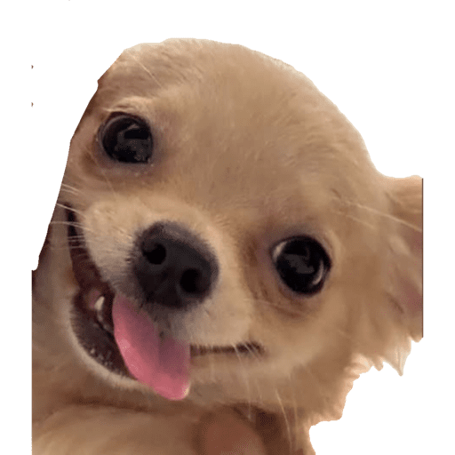 Criações 28