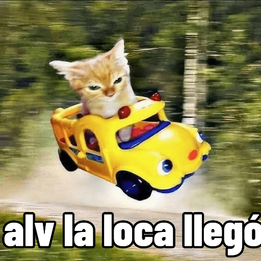 Pal chat  14