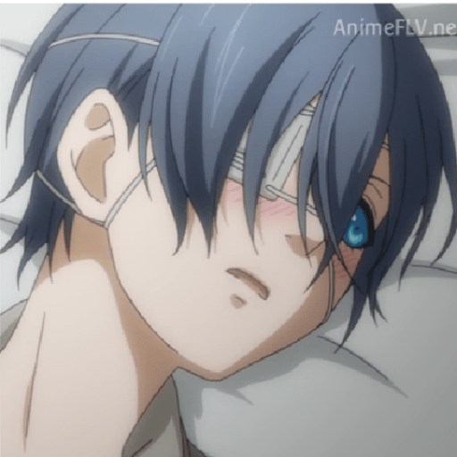 Black butler 12
