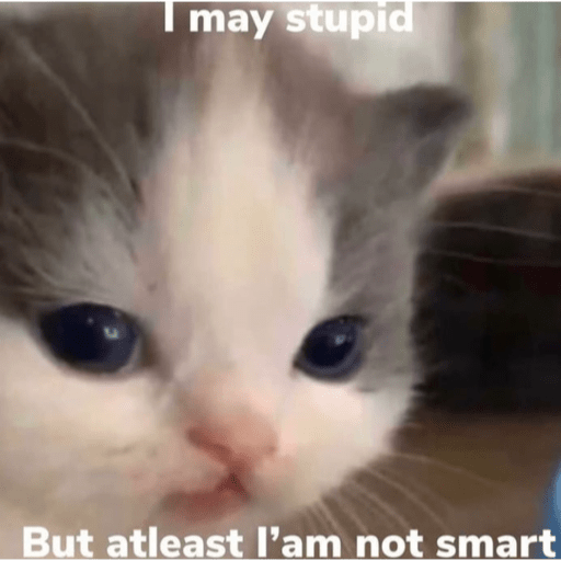 Cats 4