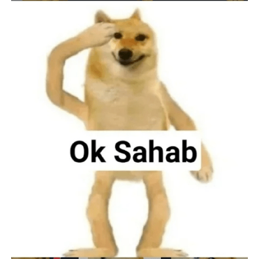 Doge hindi 3 15