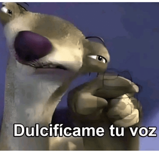 Xdd 17