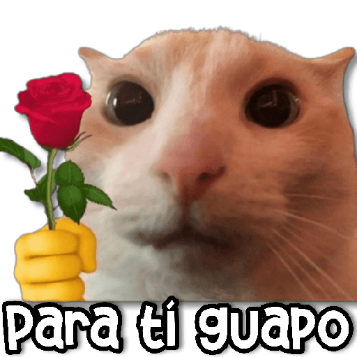 Shitpost Amor ❤️😏 (Rose&Kane) 25