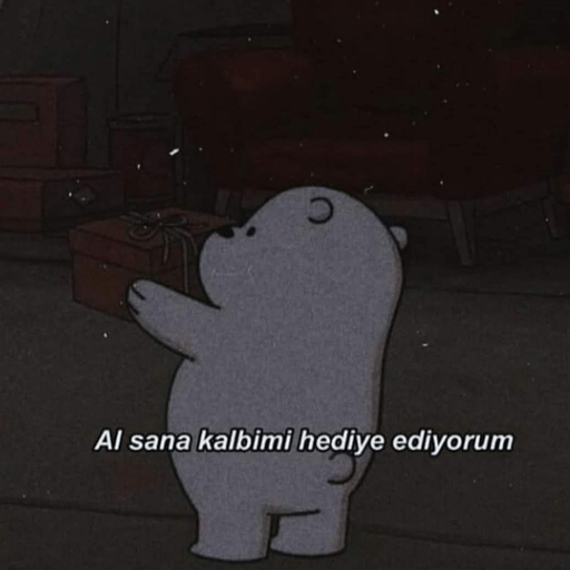 Türkçe meme 3 4