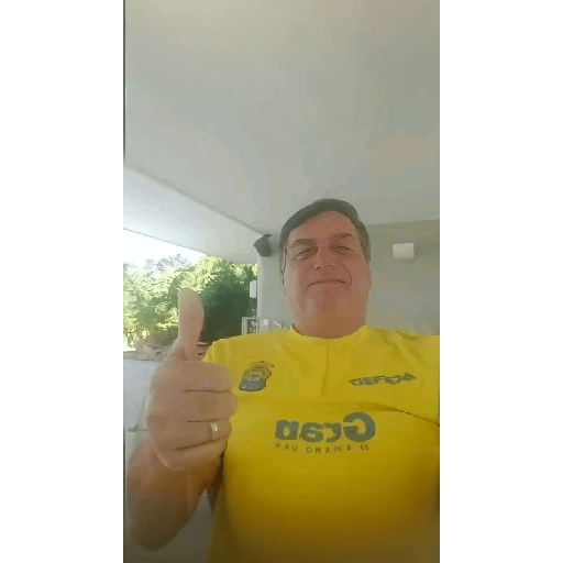 Bolsonaro meme 3