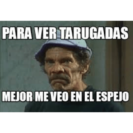 Sibietocos 26