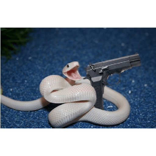 Emotional snake 10