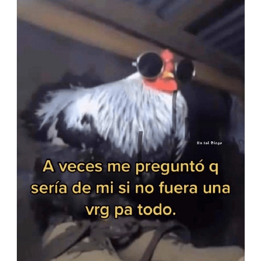Memes graciosos 2023 20