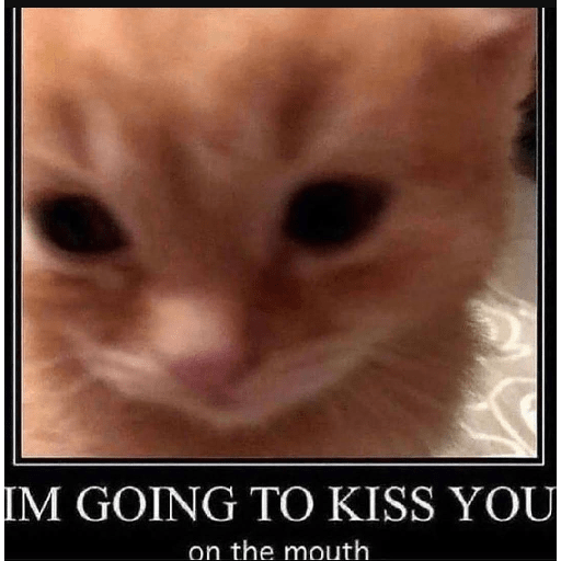 Kiko 25