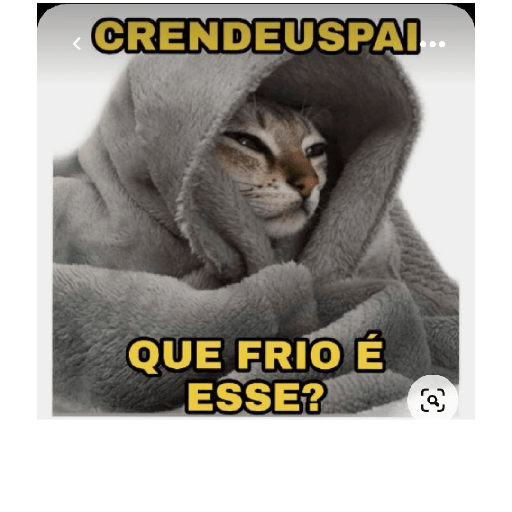 FRIO 1