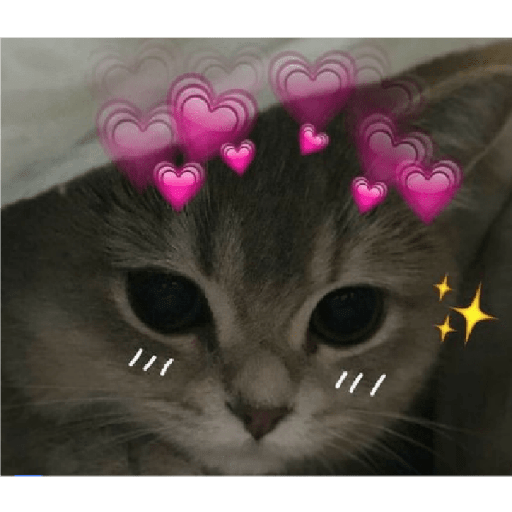 Animales corazones 11