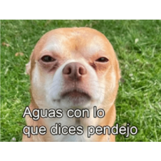 Sibietocos 29