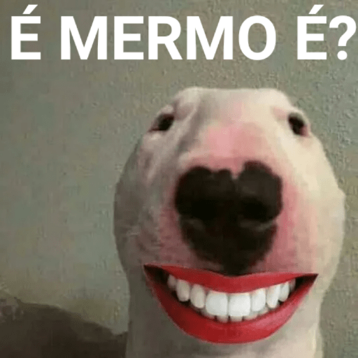 Memes dos memes 3