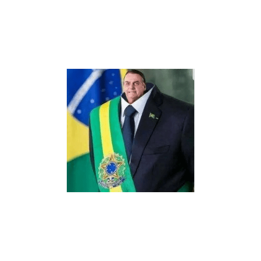 Bolsonaro meme 4