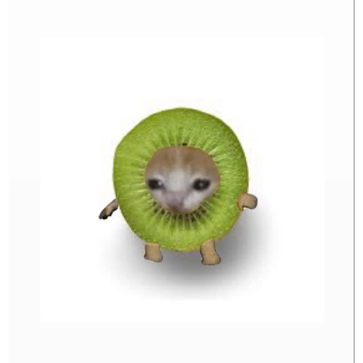 Comida gato 3 9