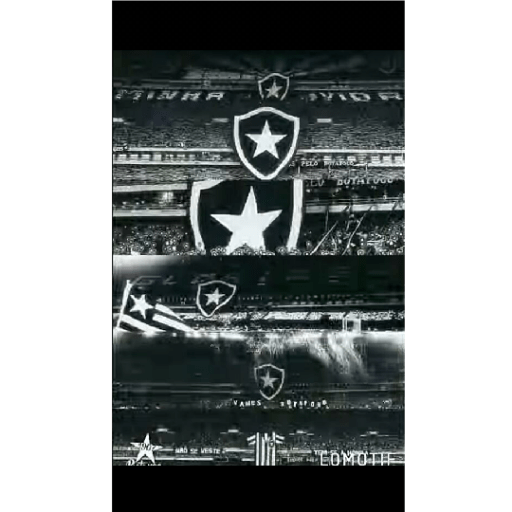 Pacote do botafogo 19