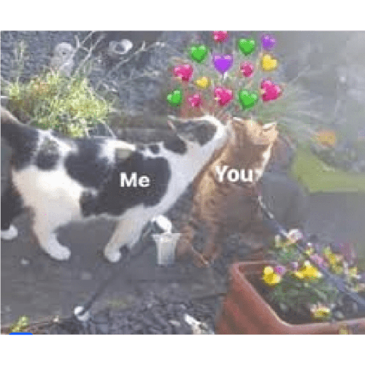 Animales corazones 8