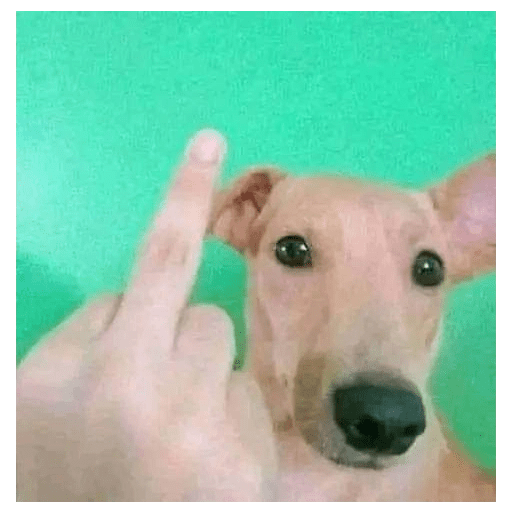 Memes graciosos 2023 12
