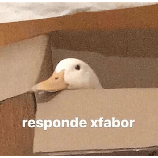 Gatitos chistosos  3
