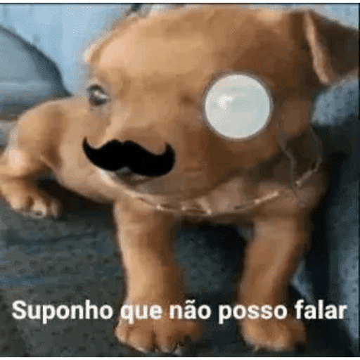 Oi posso fala 15