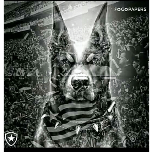 Pacote do botafogo 20