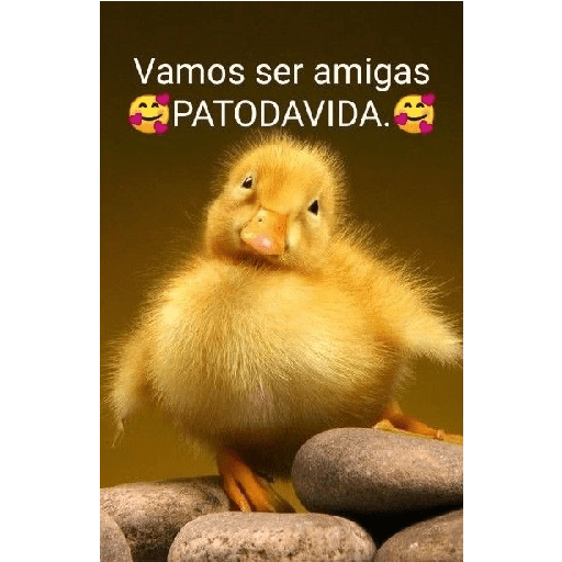 Figurinhas misturadas 2