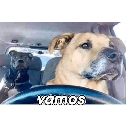 Sibietocos 19