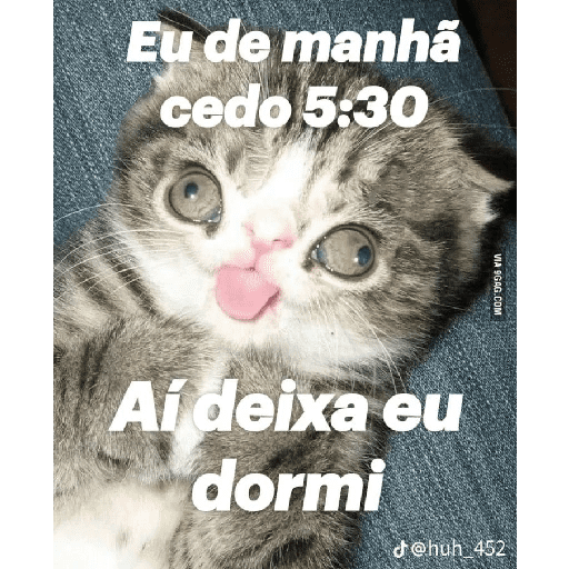Figurinhas misturadas 1