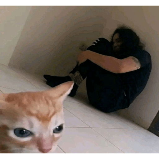 Meu pau  2