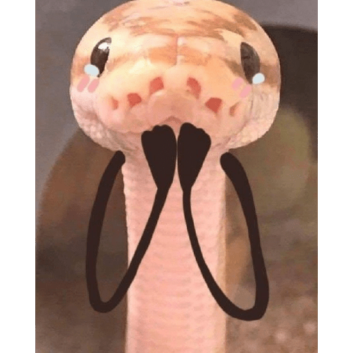 Emotional snake 2