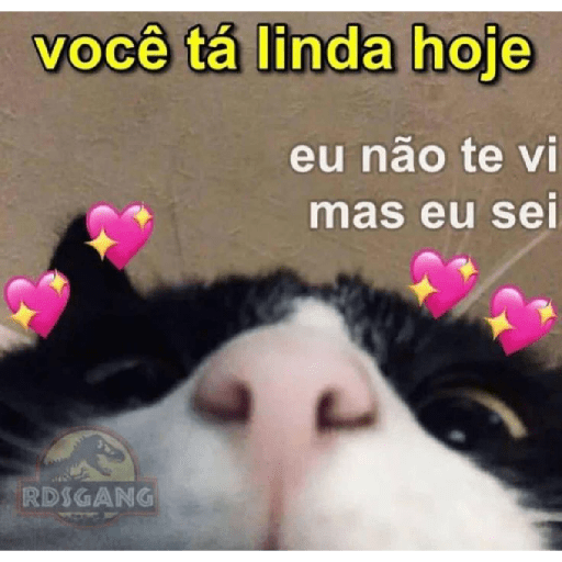 Meu pau  10
