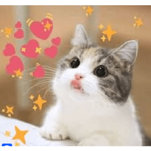 Animales corazones 2