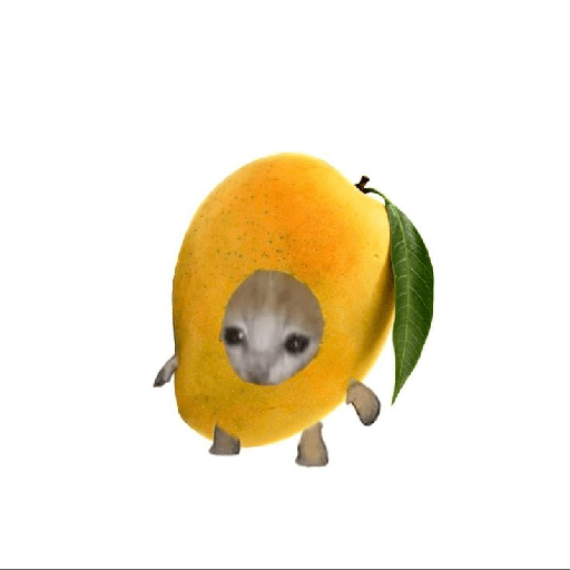 Comida gato 3 7