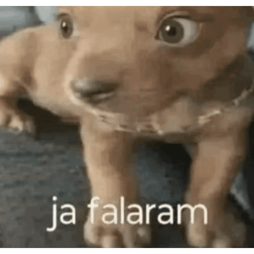 Oi posso fala 13
