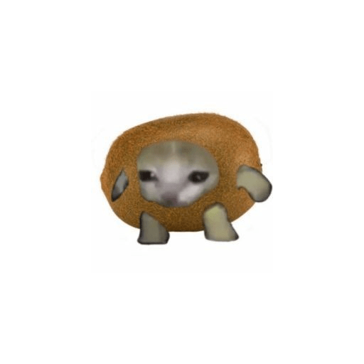 Comida gato 3 5